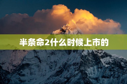 半条命2什么时候上市的