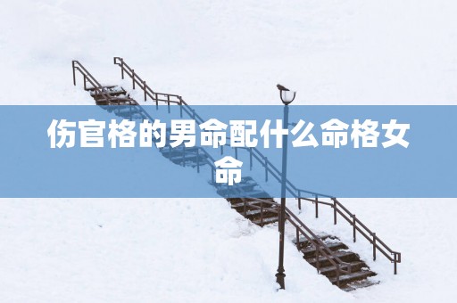伤官格的男命配什么命格女命