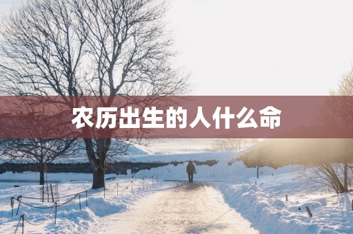 农历出生的人什么命