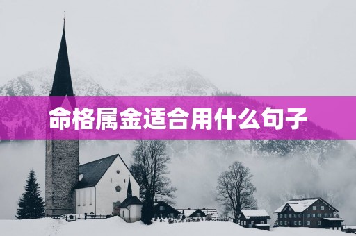 命格属金适合用什么句子