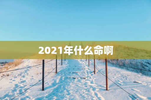 2025年什么命啊