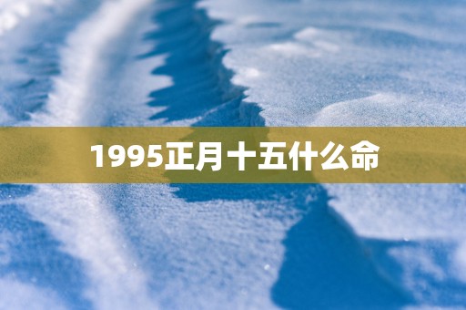 1995正月十五什么命