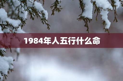 1984年人五行什么命