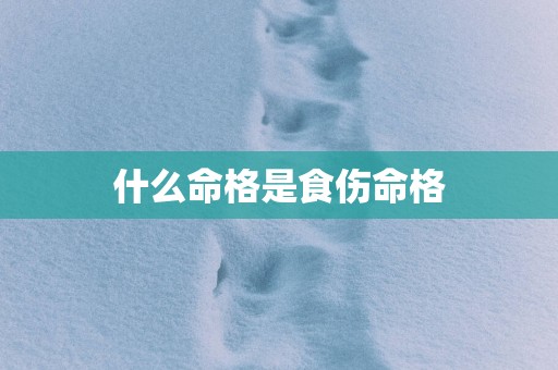 什么命格是食伤命格