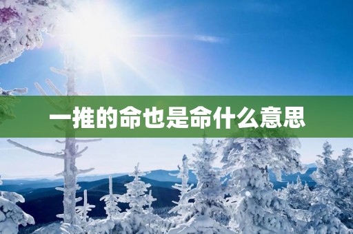 一推的命也是命什么意思