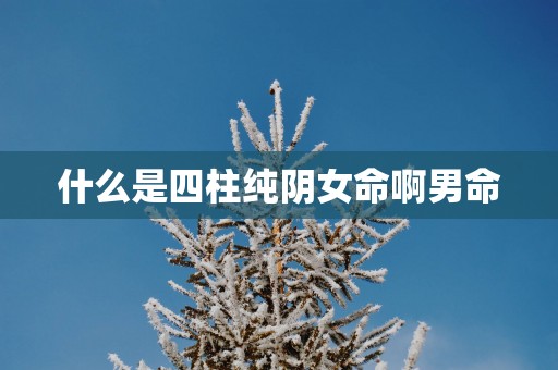 什么是四柱纯阴女命啊男命