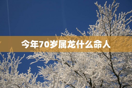 今年70岁属龙什么命人