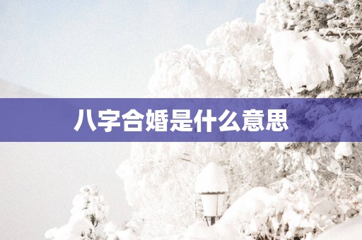 八字合婚是什么意思