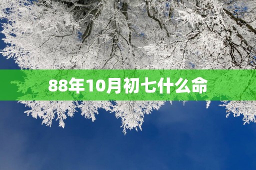 88年10月初七什么命