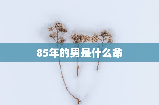 85年的男是什么命