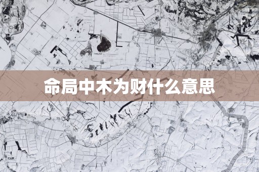 命局中木为财什么意思
