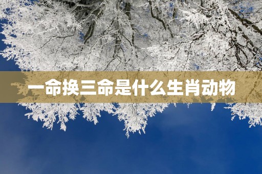 一命换三命是什么生肖动物