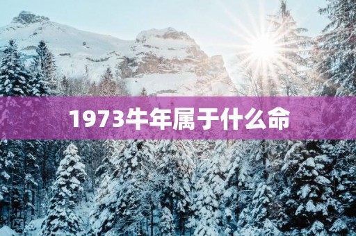1973蛇年属于什么命