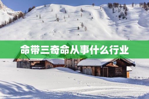 命带三奇命从事什么行业