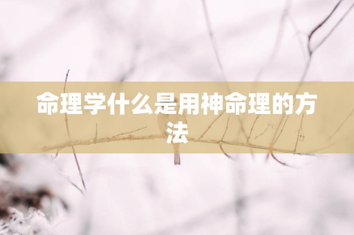 命理学什么是用神命理的方法