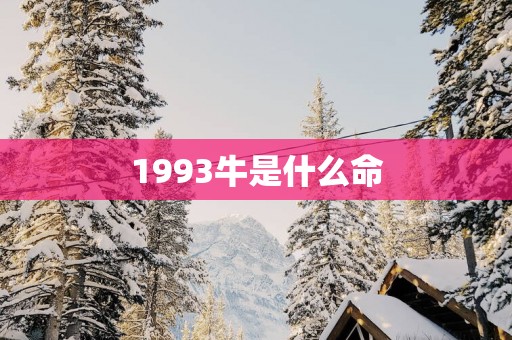 1993牛是什么命