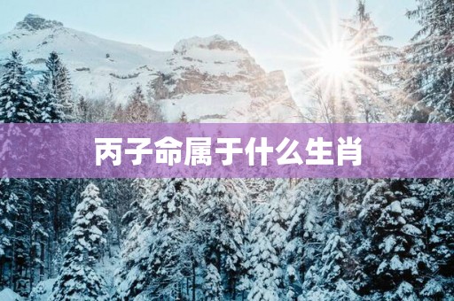 丙子命属于什么生肖