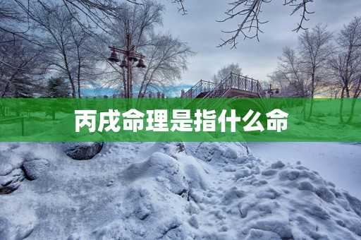 丙戌命理是指什么命