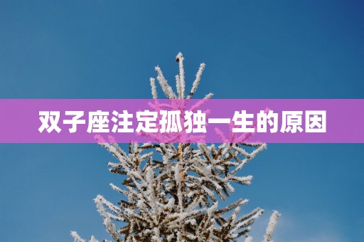 双子座注定孤独一生的原因
