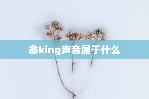 命king声音属于什么