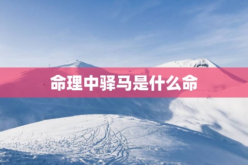 命理中驿马是什么命