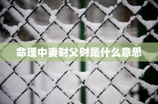 命理中妻财父财是什么意思