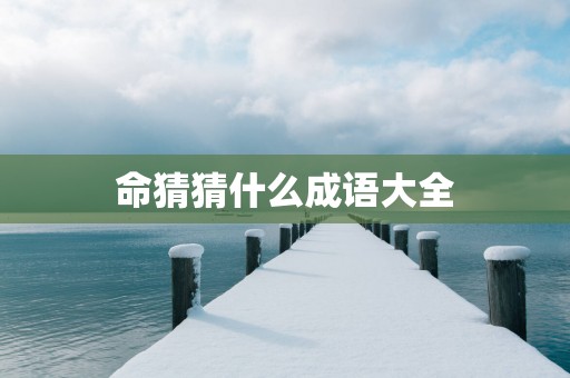 命猜猜什么成语大全