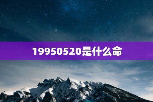 19950520是什么命