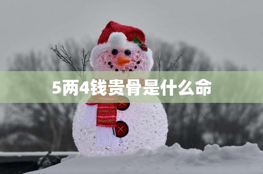 5两4钱贵骨是什么命
