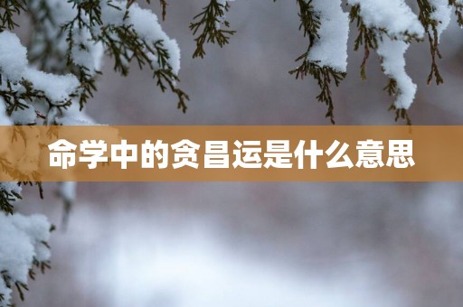 命学中的贪昌运是什么意思