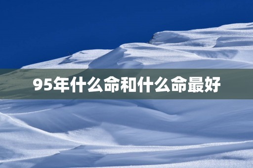 95年什么命和什么命最好