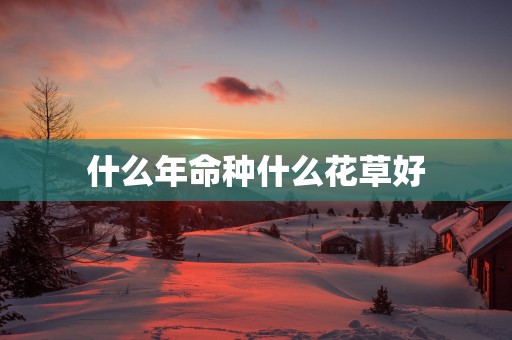 什么年命种什么花草好
