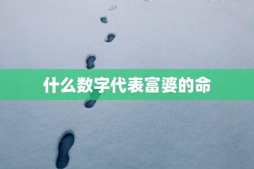 什么数字代表富婆的命