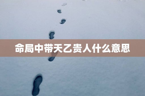 命局中带天乙贵人什么意思