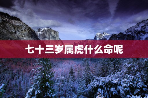 七十三岁属虎什么命呢