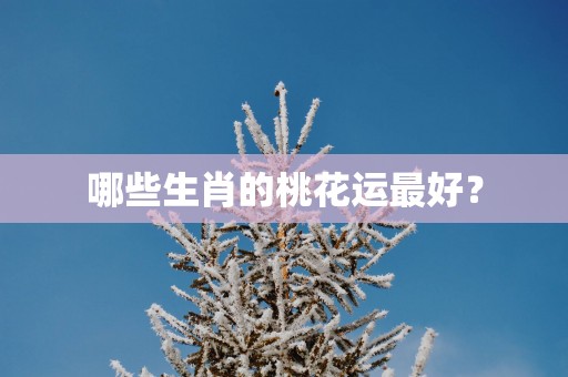 哪些生肖的桃花运最好？
