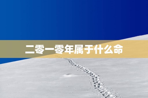 二零一零年属于什么命