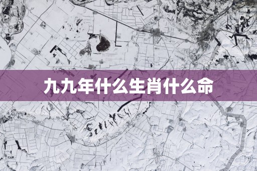 九九年什么生肖什么命