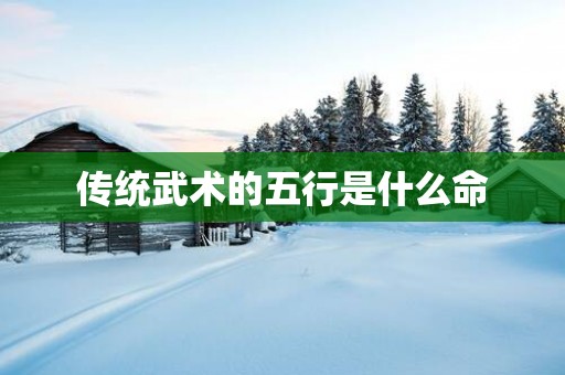 传统武术的五行是什么命