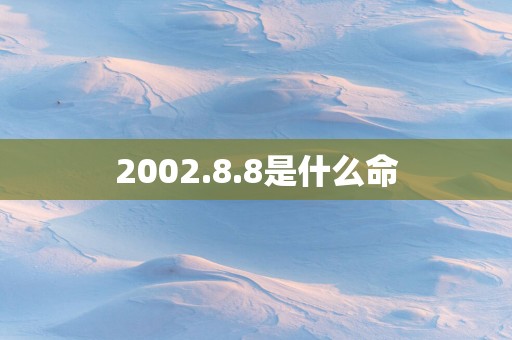 2002.8.8是什么命