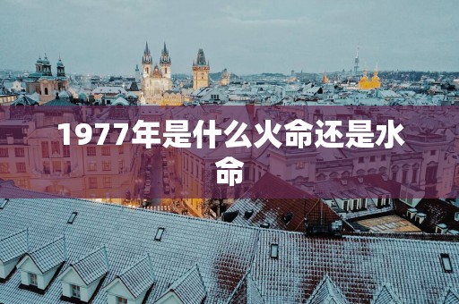 1977年是什么火命还是水命
