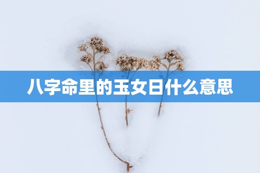 八字命里的玉女日什么意思