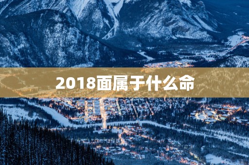 2018面属于什么命