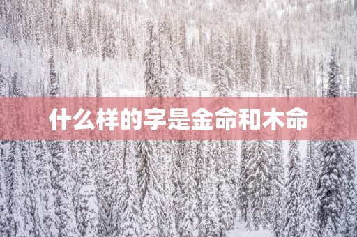 什么样的字是金命和木命