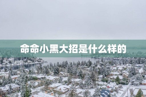 命命小黑大招是什么样的