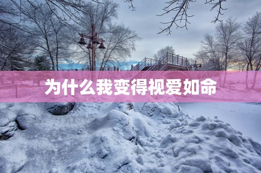 为什么我变得视爱如命