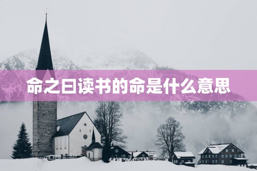 命之曰读书的命是什么意思