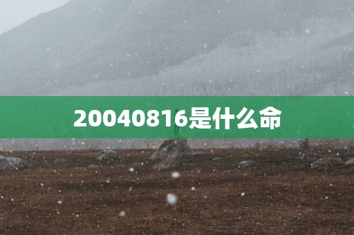 20040816是什么命