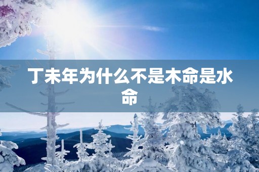 丁未年为什么不是木命是水命