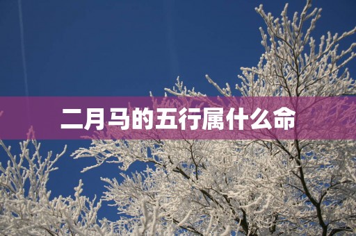二月马的五行属什么命